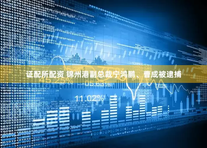 证配所配资 锦州港副总裁宁鸿鹏、曹成被逮捕
