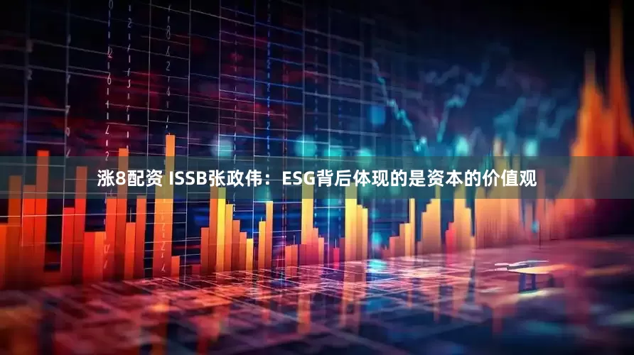涨8配资 ISSB张政伟：ESG背后体现的是资本的价值观