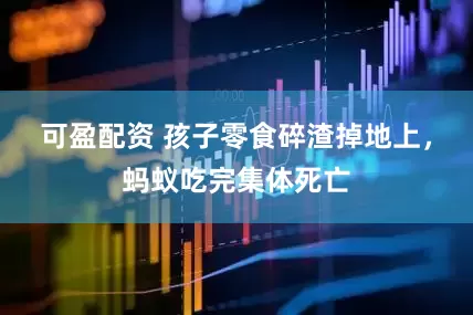 可盈配资 孩子零食碎渣掉地上，蚂蚁吃完集体死亡